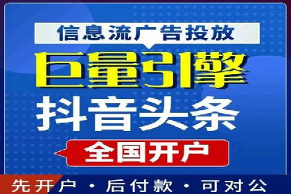 谷歌竞价广告与SEO结合的营销案例解析